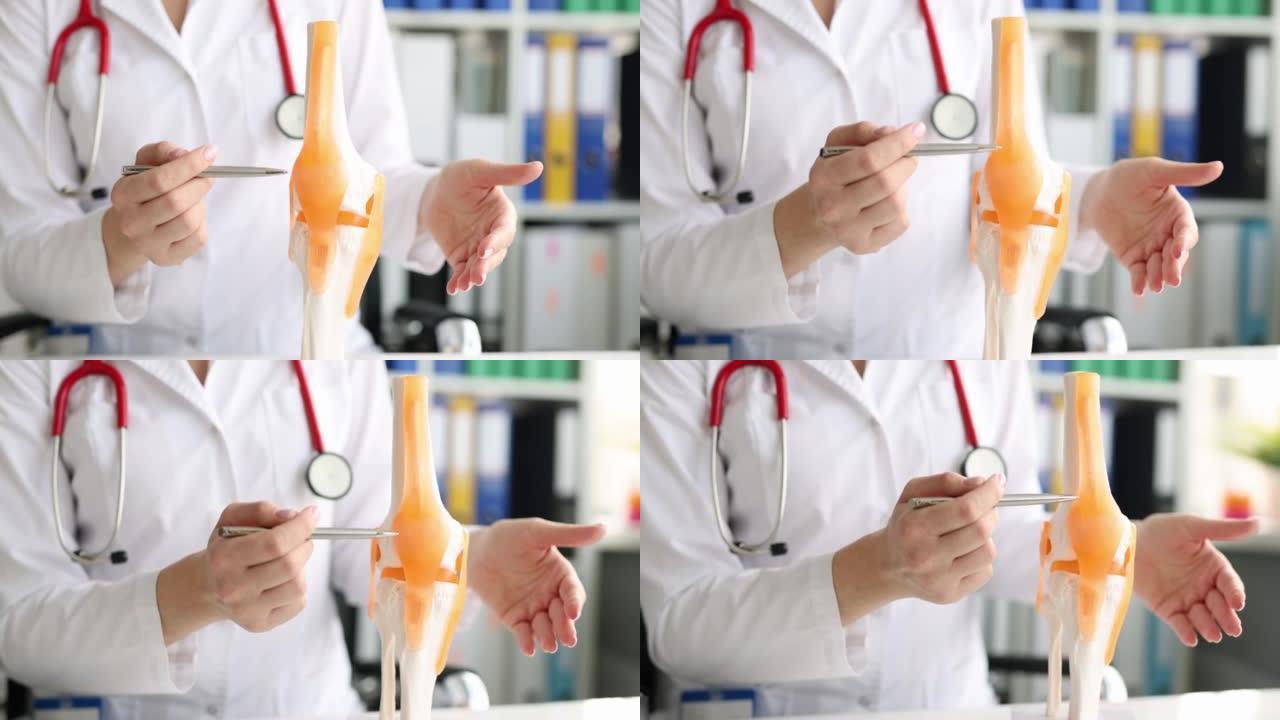 研究人体膝关节骨骼模型的医生或实习生