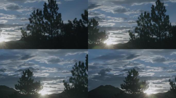 科罗拉多州的枞树与真正的太阳耀斑在黎明的天空中