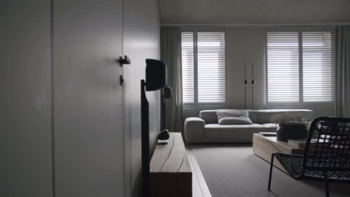 真正的现代公寓，客厅简约家具设计，混凝土