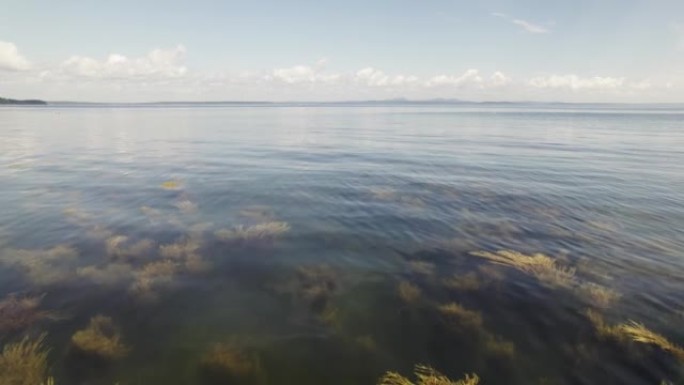 无人驾驶飞机在海洋水面上移动，海洋植被和海浪