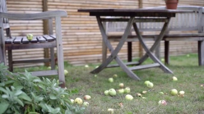 一张桌子和一把椅子站在苹果园里。
