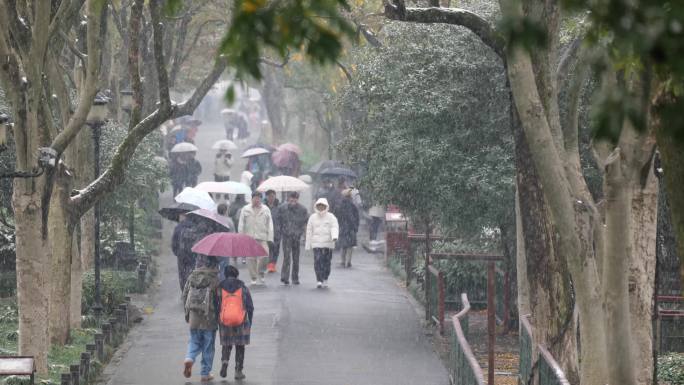 西湖下雪实拍