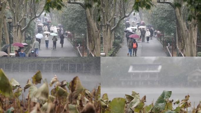 西湖下雪实拍