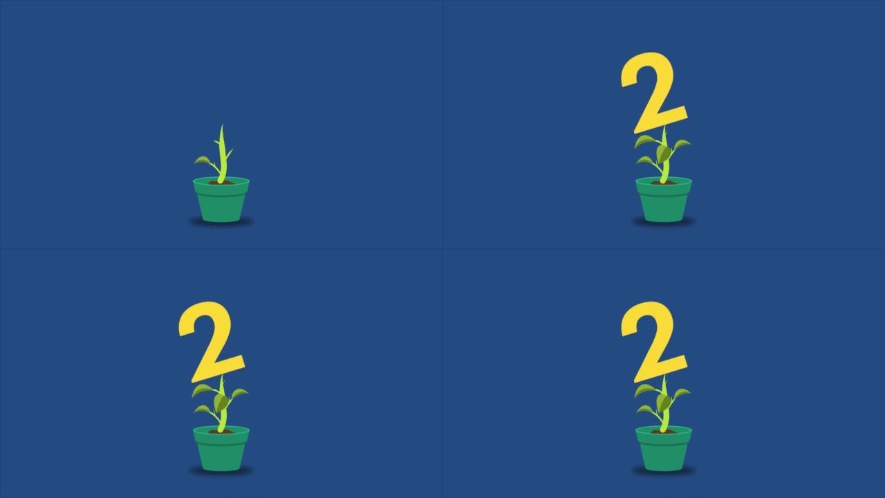 植物生长的财务增长概念2