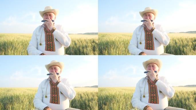 一位身穿刺绣外套的乌克兰老人在麦田中央演奏口琴。