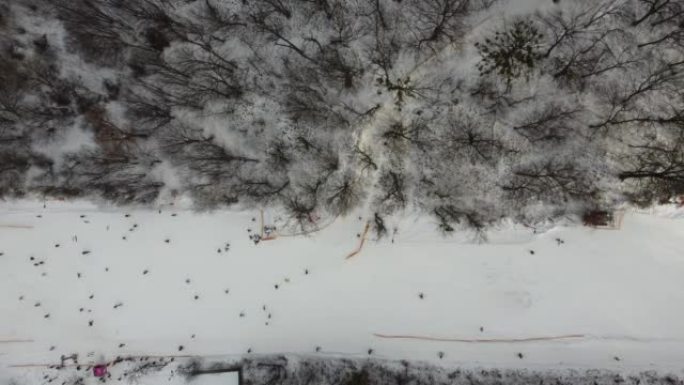 滑雪运动，冬雪。森林里布满了秀场的树木。寒冷的冬天下雪的天气。滑雪胜地。乌克兰，基辅