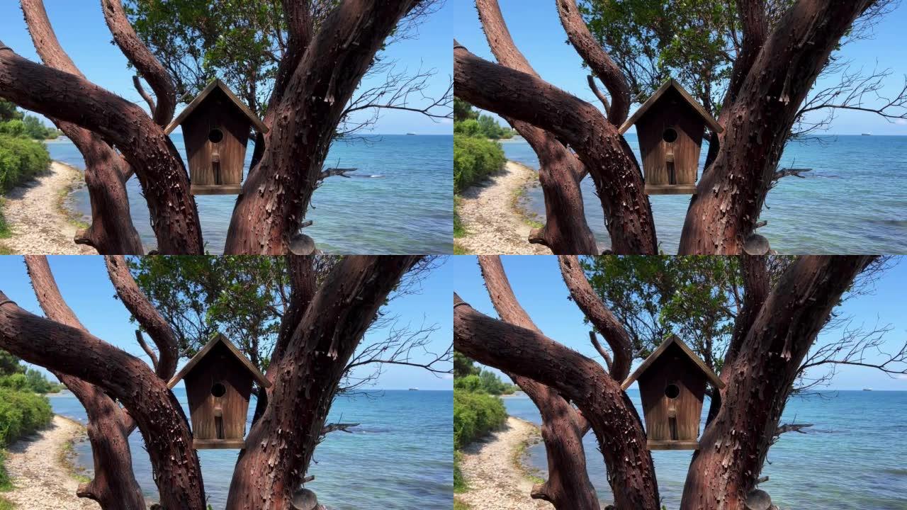 靠海树上的巢箱鸟木屋