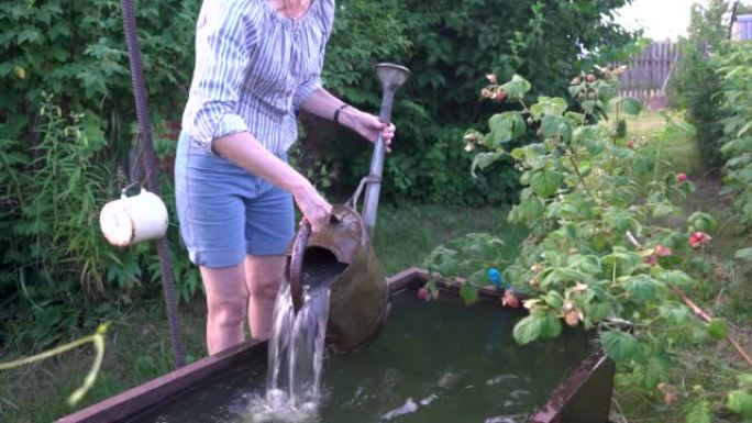 一名妇女从桶中收集雨水，用于浇灌植物，浇灌生态花园。
