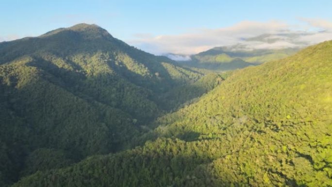 萨潘村的鸟瞰图。唯美森林航拍树林自然美景