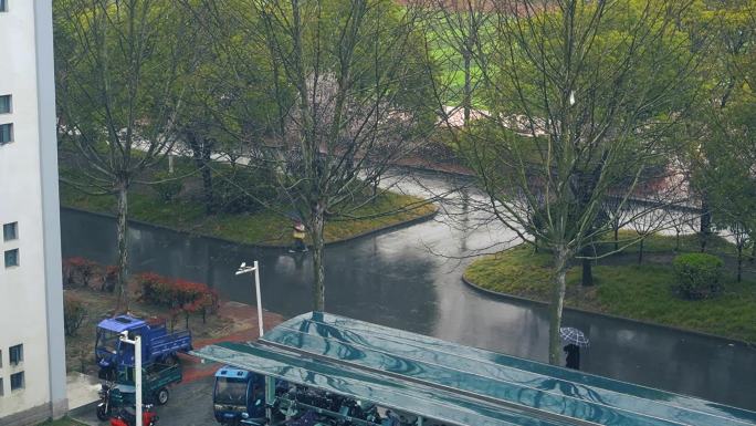 大学校园空镜 春雨 雨天校园 学校空镜