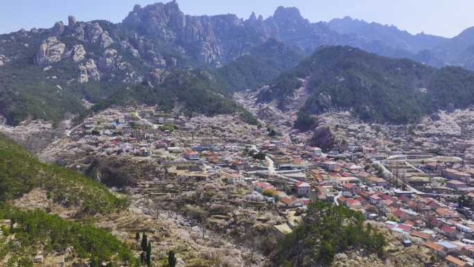 航拍崂山北九水的春天景色