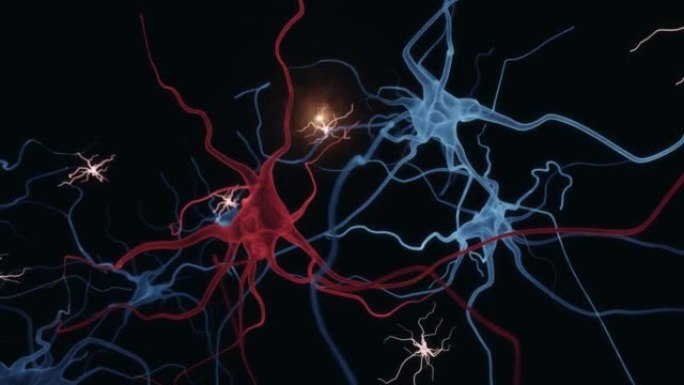神经元和小胶质细胞