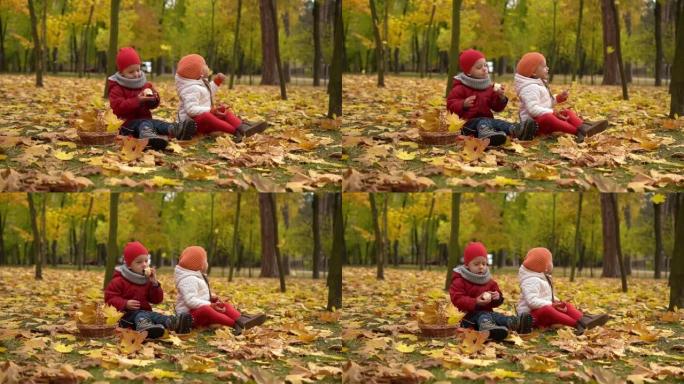 可爱的学龄前未成年人兄弟姐妹女孩和男孩在篮子里的红色格子黄色落叶上微笑吃红苹果看秋天公园的相机寒冷天