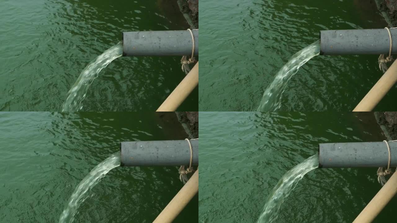 传统鱼塘中排水管的水流