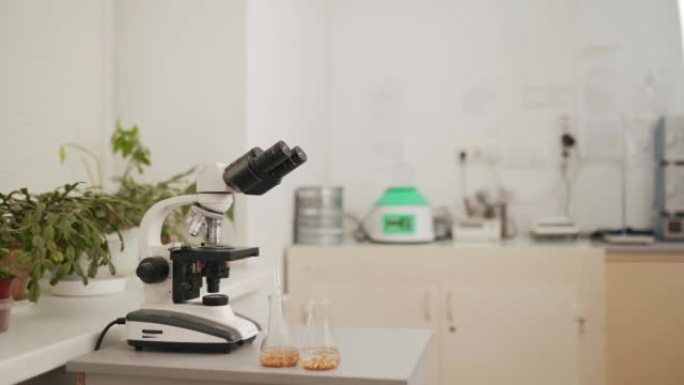 带有显微镜和带移液管的谷物的食品实验室。带复制空间的实验室设备。