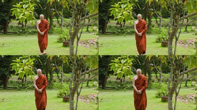 泰国森林修道院的和尚漫步冥想