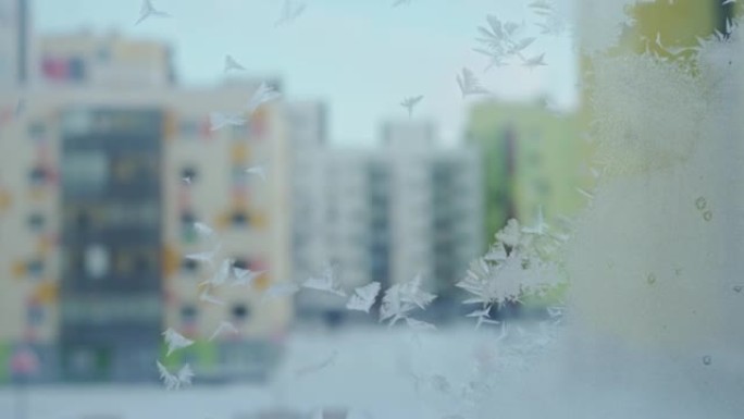在冰冻的窗户上关闭一些冰冷的花朵的图像。窗户上的雪图案。霜冻模式