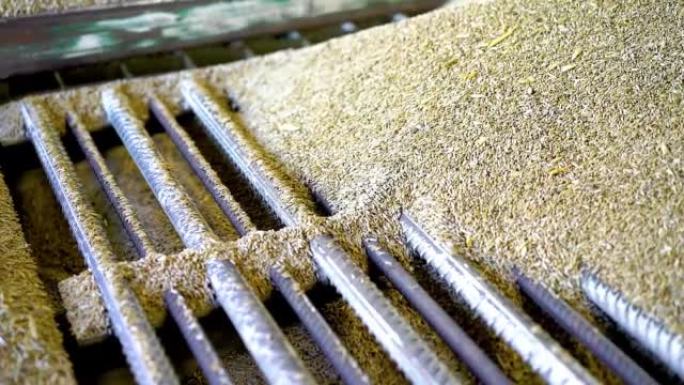 小麦在面粉厂卸货。在磨坊从谷物卡车上卸下小麦谷物。小麦正在生长。小麦谷物的卸载。用卡车将谷物运输到工