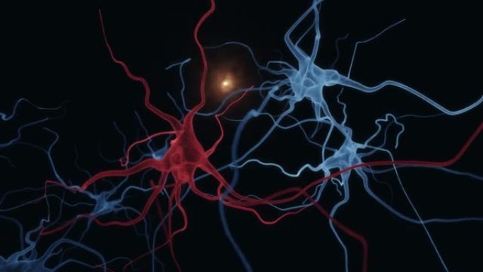 激发神经元的动画
