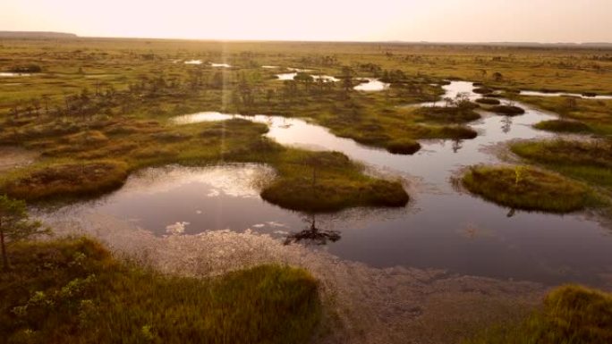 沼泽景观。白俄罗斯叶尔尼亚的狂野泥潭。东欧沼泽和泥炭沼泽。