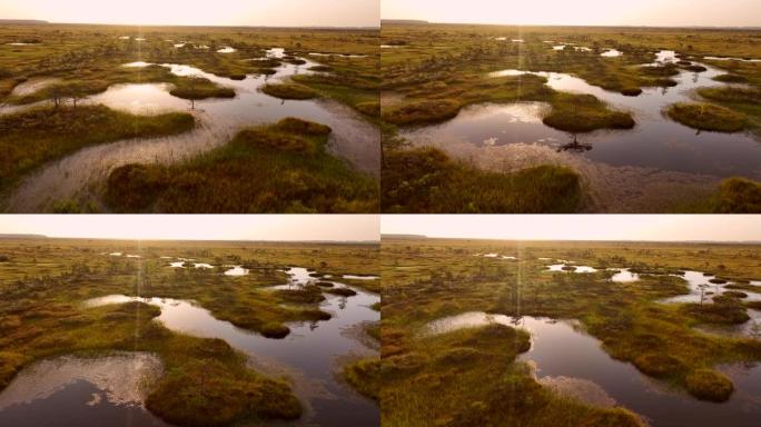 沼泽景观。白俄罗斯叶尔尼亚的狂野泥潭。东欧沼泽和泥炭沼泽。