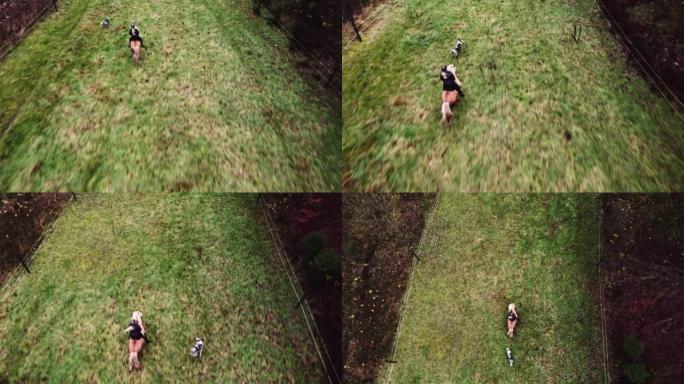 Aerial of a Lady Riding a Horse Along the Green Gr