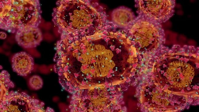 病毒的概念肿瘤细胞白血病细胞微生物