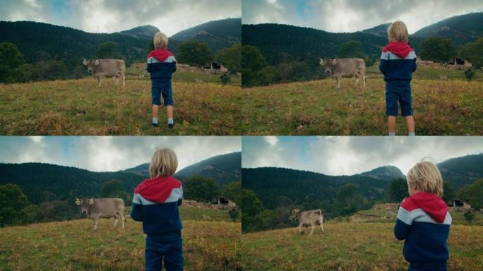 山区草地上的孩子看着家畜放牧的自由和恐惧