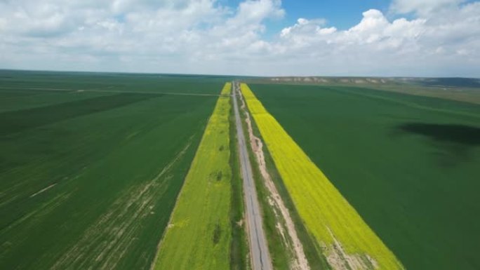 Aerival缩小了油菜田沿线的道路