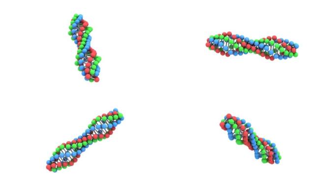 白色3D渲染上的脱氧核糖核酸链。医学科学知识。