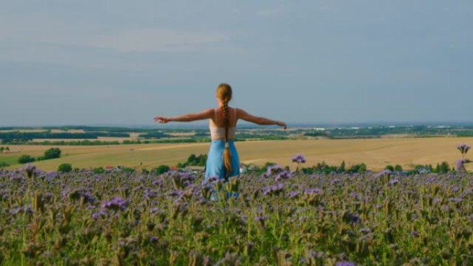 人与自然的和谐。女人走在田野里，展翅双臂。许多昆虫在蓝天背景上的花朵中。大黄蜂和蜜蜂。环保德国拯救蜜