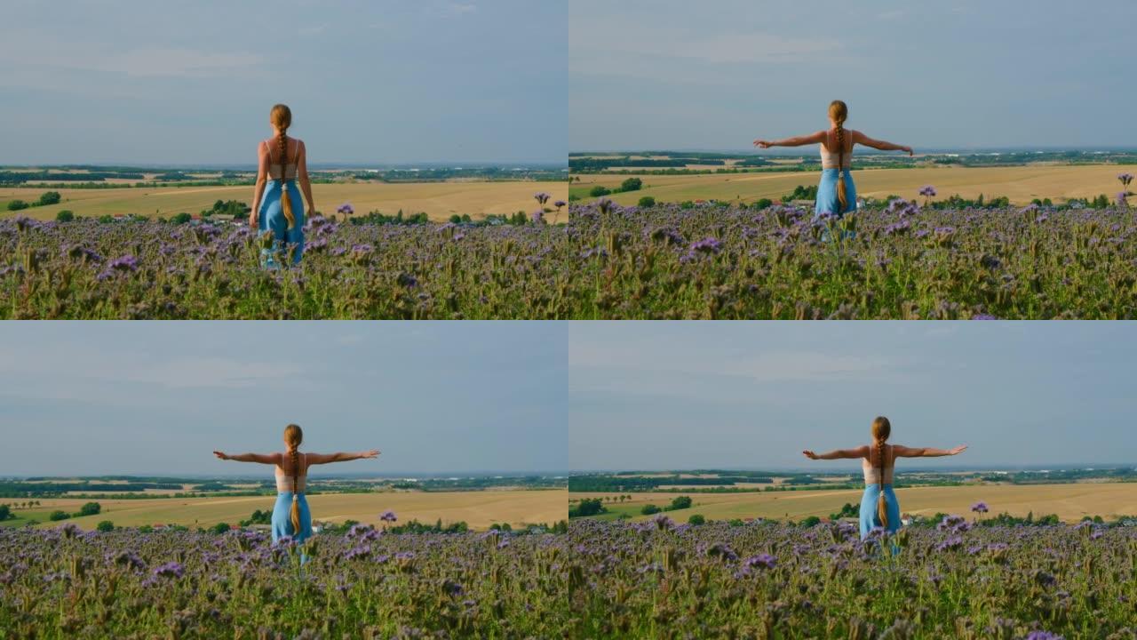 人与自然的和谐。女人走在田野里，展翅双臂。许多昆虫在蓝天背景上的花朵中。大黄蜂和蜜蜂。环保德国拯救蜜