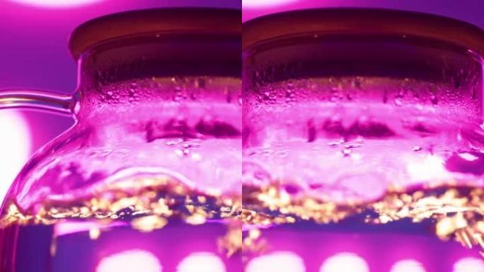 垂直视频，透明水壶在霓虹灯紫色背光的燃气燃烧器上沸腾。玻璃茶壶内沸腾的热水中的气泡模糊。