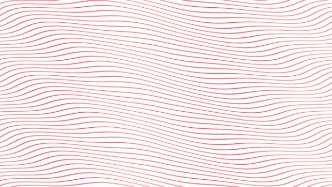 红色平行波线在孤立的白色背景上缓慢流动的动画。动态运动镜头背景设计。唤起积极、冷静、安抚的情绪和情绪