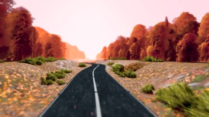 3d运动循环渲染场景，汽车在秋天穿越森林的道路上行驶，天空多云。