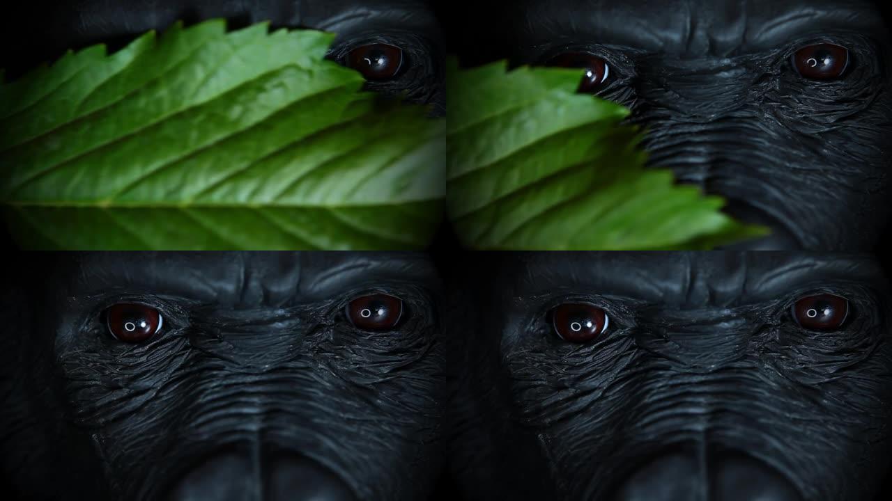 大猩猩眼睛绿叶的镜头