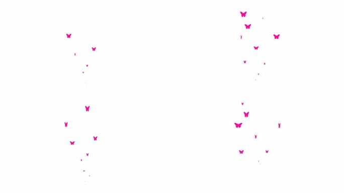 动画粉红蝴蝶从下往上飞。飞蝶的喷泉。夏天的概念。矢量插图孤立在白色背景上。