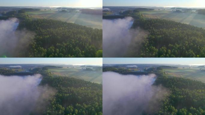波兰雾蒙蒙的农田鸟瞰图。令人惊叹的自然景观美妙的早晨日出。阳光穿透树叶和树木的雾。清晨的雾在闪亮的山