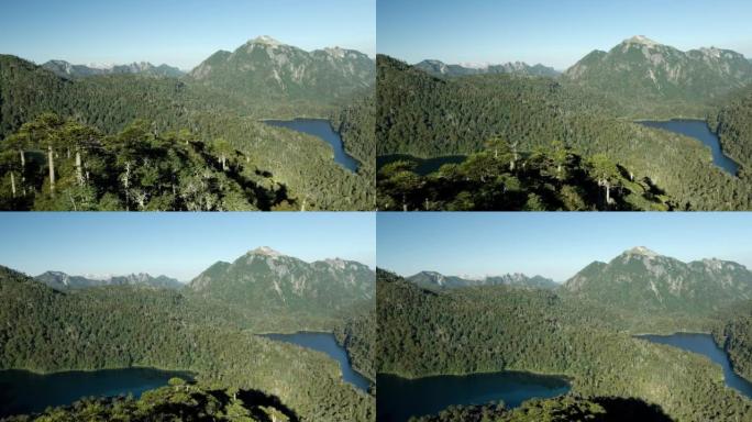 在huerquehue国家公园与toro泻湖和verde湖的araucaria (Araucaria
