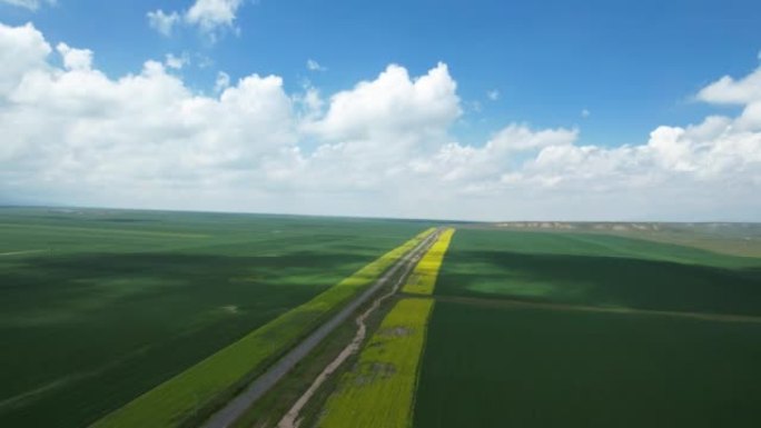 油菜田沿线的空中平移视图