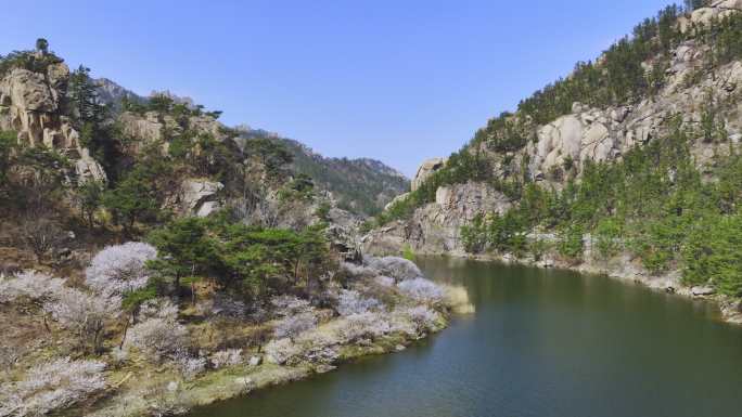 航拍崂山北九水的春天景色