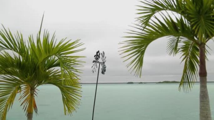 风向标风螺旋桨在不同的侧面加油绿色棕榈乳白色海洋