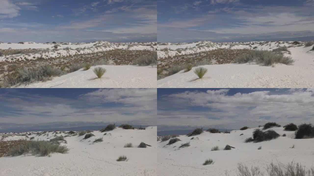 白色沙丘