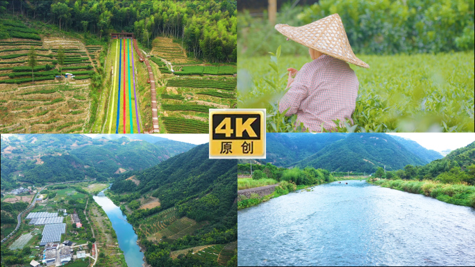 中国扶贫第一村赤溪村茶园采茶4K航拍