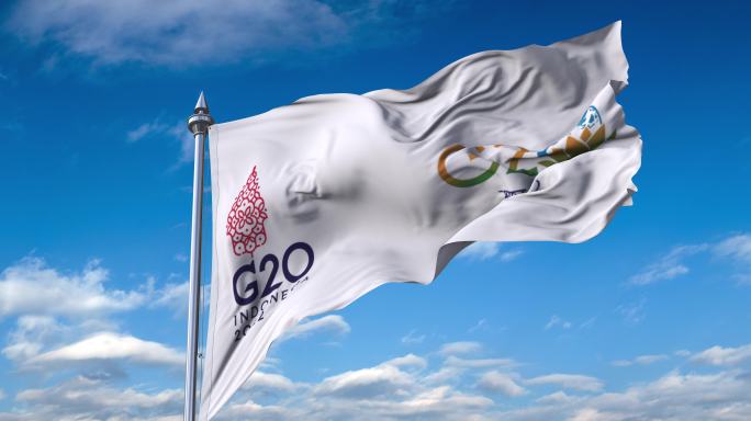 G20-2023-01旗帜