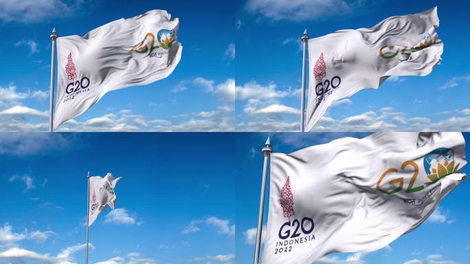 G20-2023-01旗帜