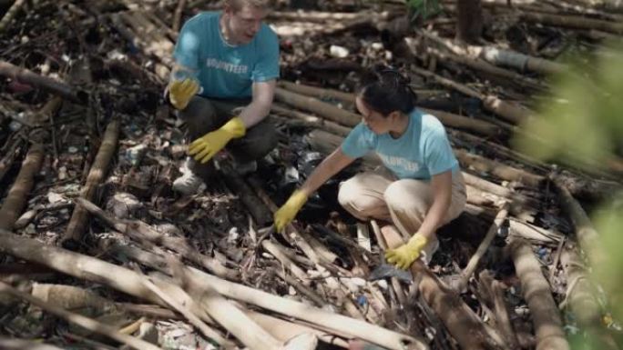 红树林塑料废料的可持续性