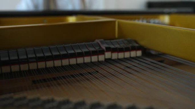 在大钢琴琴弦上敲打着柔软的锤子的极端特写镜头，而无法辨认的女钢琴家则在模糊的背景上演奏。