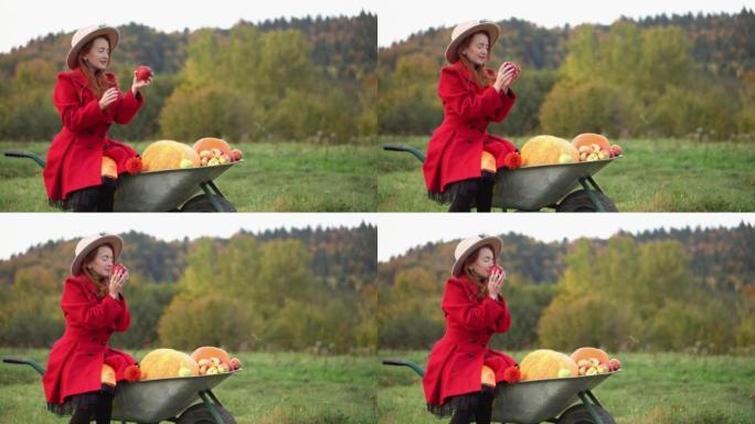 红色和秋天的红发女人感恩节静果，格子，南瓜和苹果。一个穿着橙色衣服的女孩和一只狗在大自然中休息。秋季