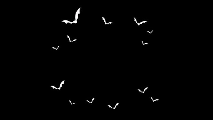 万圣节蝙蝠飞行循环运动图形视频透明背景与阿尔法通道